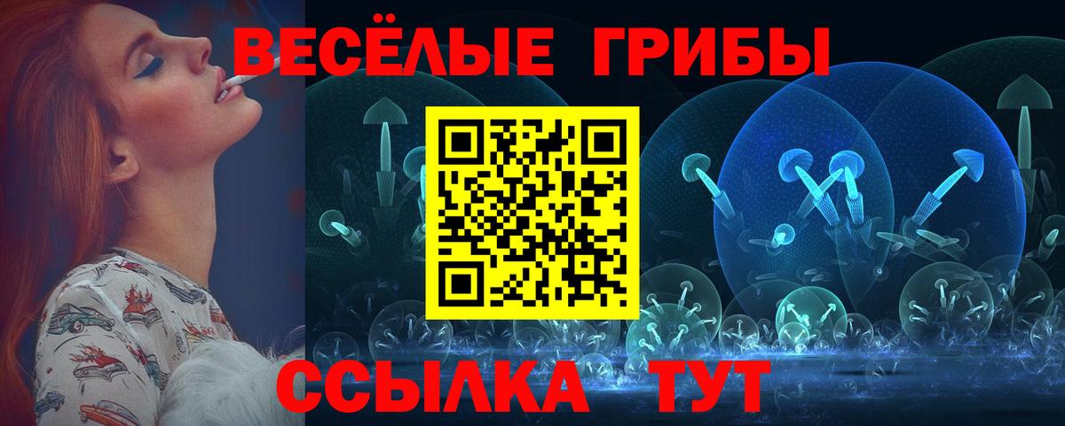 Псилоцибиновые грибы мицелий Аша