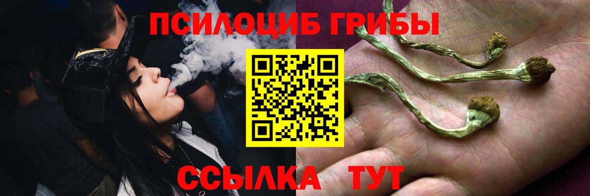 наркота  Вход с VPN  Псилоцибиновые грибы мицелий  Аша  Галлюциногенные грибы Cubensis 